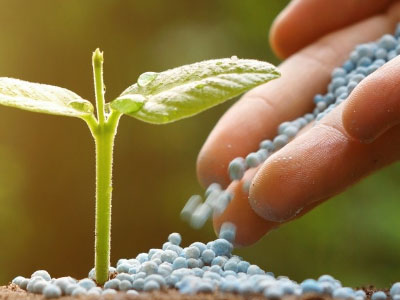 農(nóng)業(yè)食品檢驗(yàn)