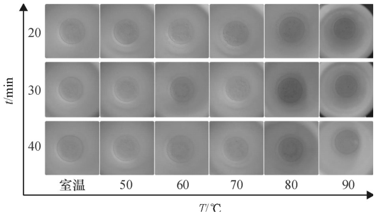 圖6不同密閉消解時(shí)間、不同水浴溫度的消解效果